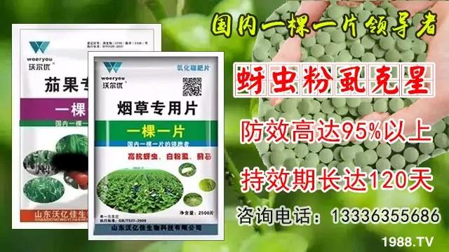 蚜蟲、飛虱防不住？一片藥輕松搞定！預(yù)防率95%，持效長達120天！