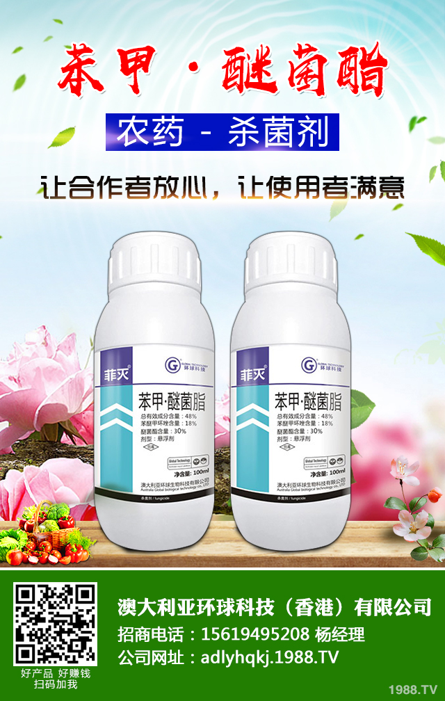 香蔥霜霉病了怎么辦？香蔥霜霉病防治技巧