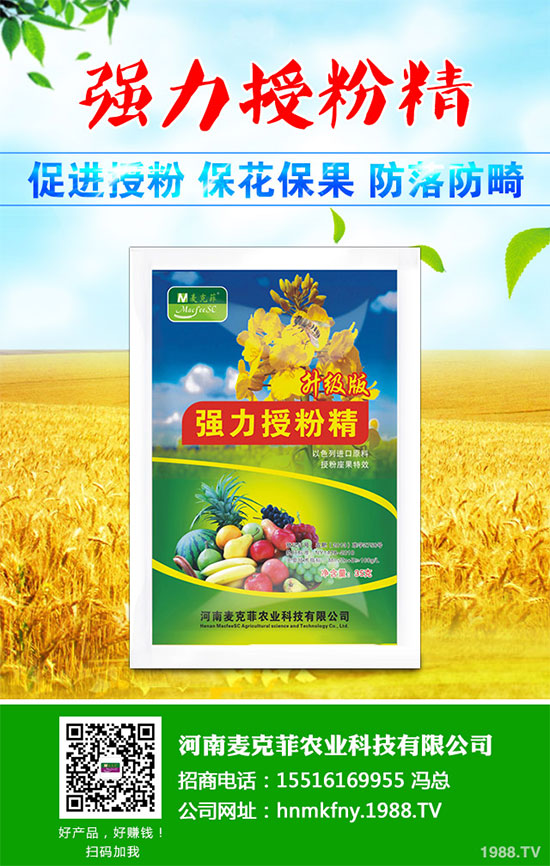 芥菜有哪些營養(yǎng)價值？吃芥菜有哪些好處？芥菜的功效與作用