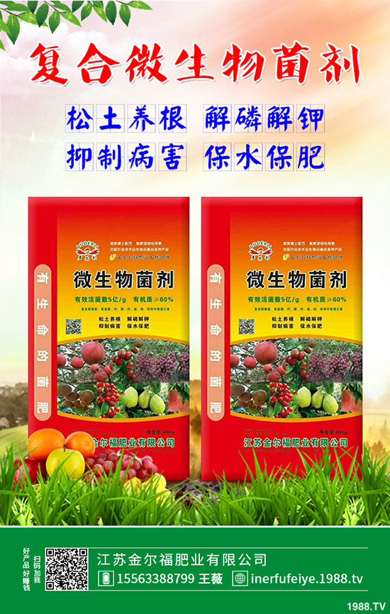 彩色花椰菜多少錢一斤？彩色花菜種植效益如何？