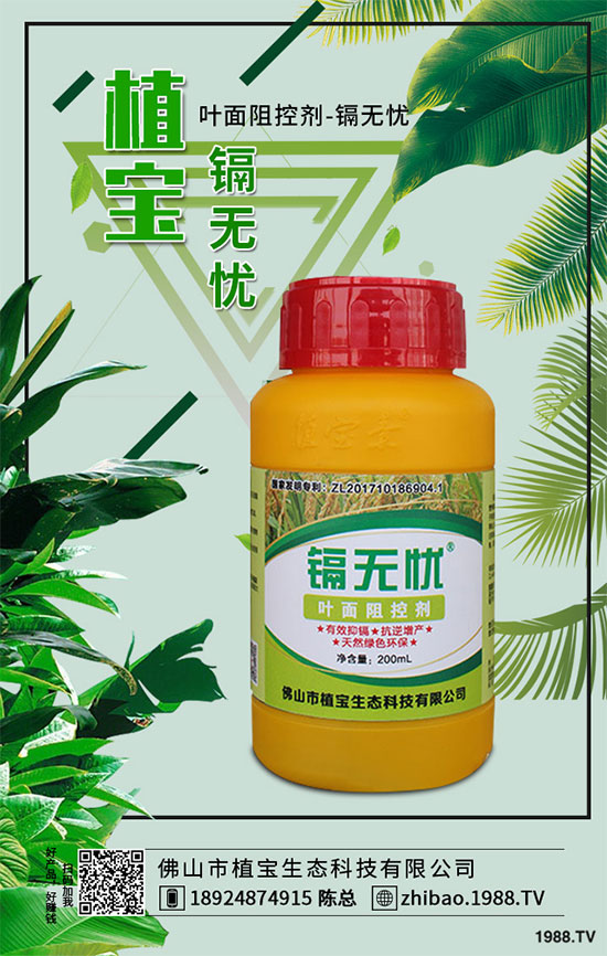 秋季大蔥什么時間種植？2019秋茬大蔥種植技術(shù)指南
