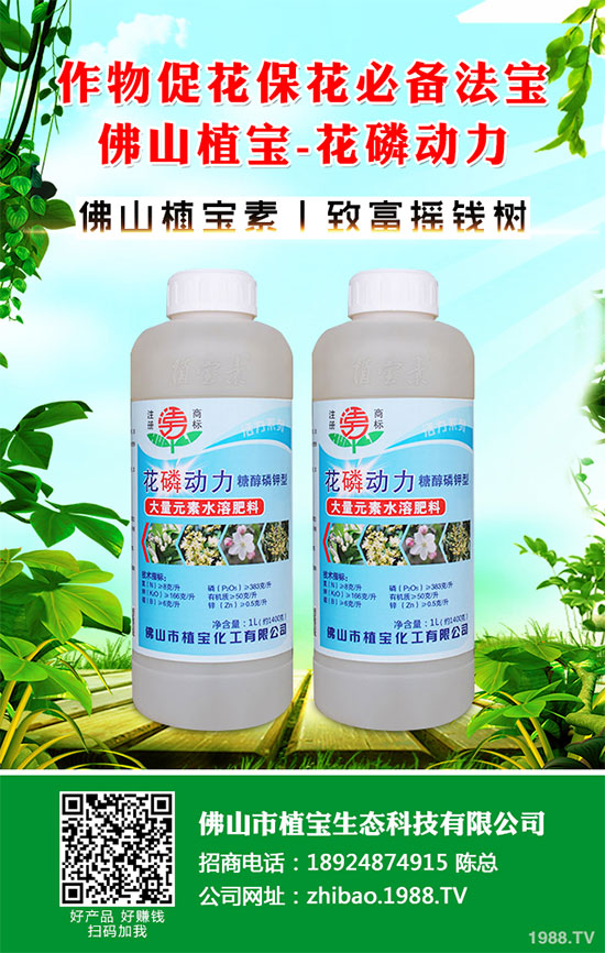 秋季大蔥什么時間種植？2019秋茬大蔥種植技術(shù)指南