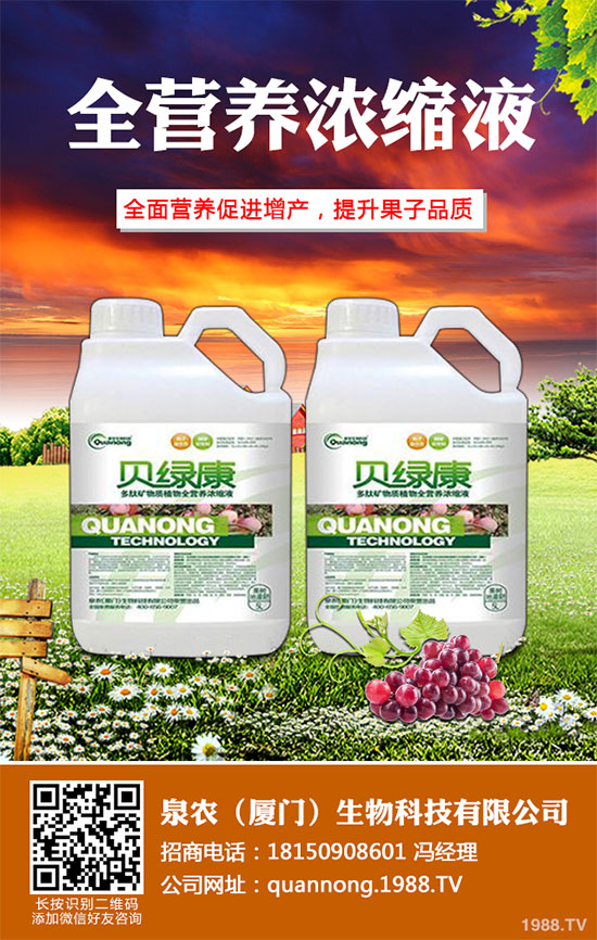 大蔥常見(jiàn)病蟲(chóng)害有哪些？該如何防治？大蔥病害防治技術(shù)