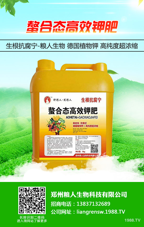 金銀花如何施肥，金銀花高產(chǎn)施肥要點(diǎn)！