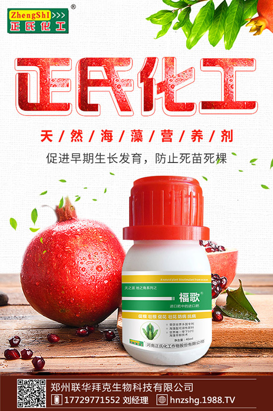 金銀花有什么作用，金銀花的功效與食用禁忌！