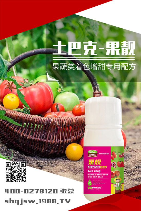 南瓜種植時間是什么時候？南瓜的播種方法及栽培技術!