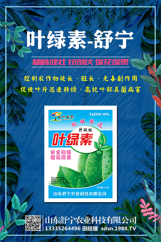 柿子怎么種植？種植柿子的注意事項(xiàng)有哪些？