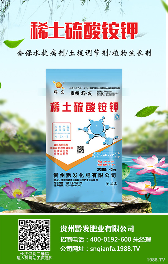 萵苣什么時候種植？萵苣高產種植方案