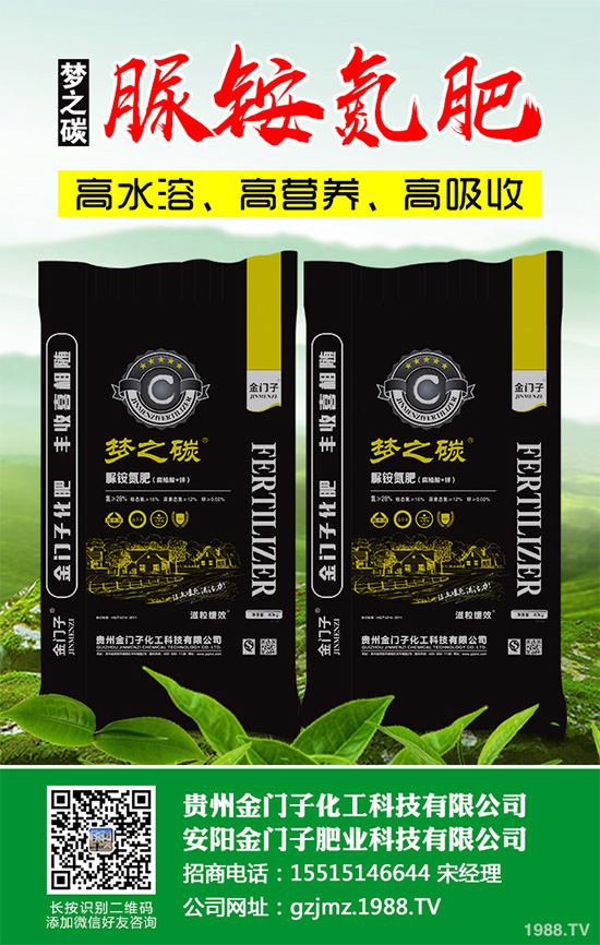 萵苣什么時候種植？萵苣高產種植方案