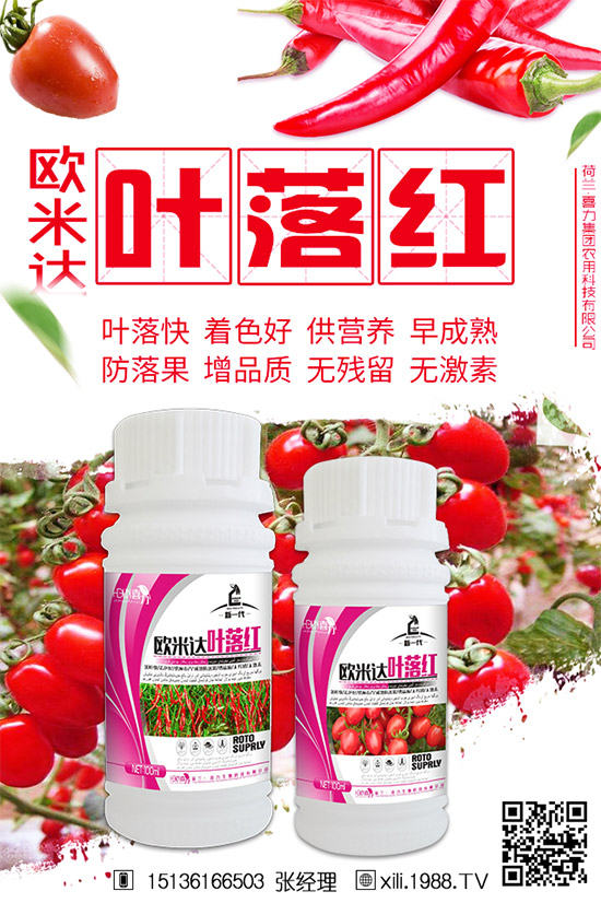 立秋后還能種植韭菜嗎？秋后韭菜管理技巧！