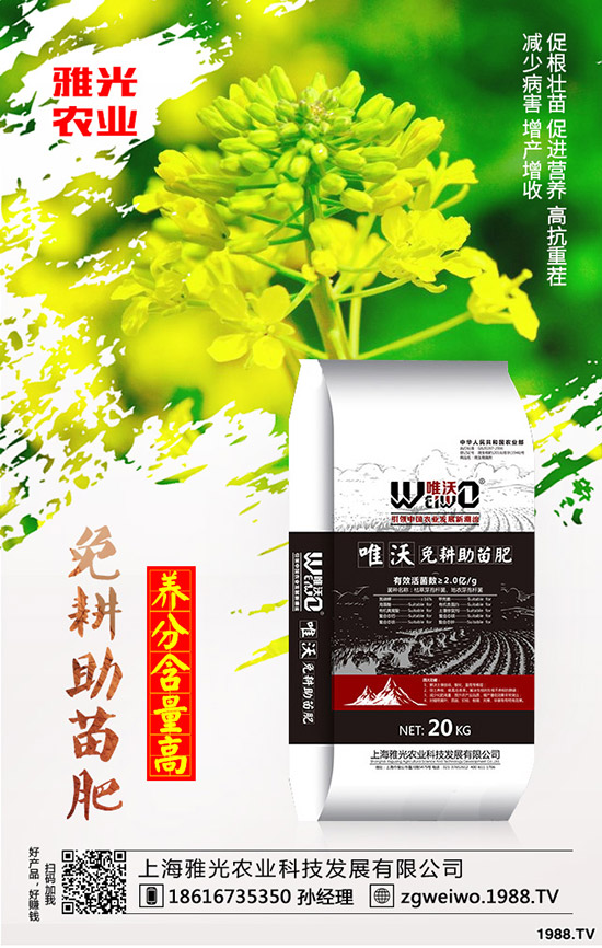 紫薯有哪些營(yíng)養(yǎng)價(jià)值，紫薯與紅薯相比哪個(gè)更有營(yíng)養(yǎng)？