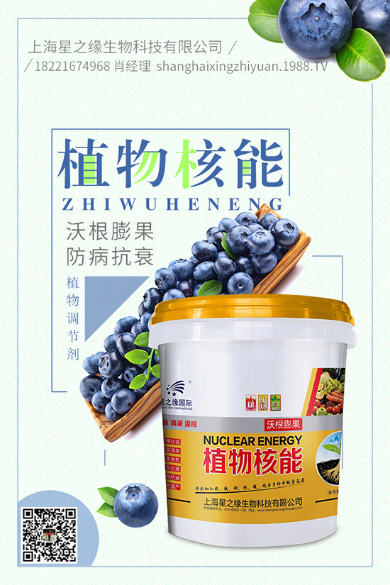 番茄菌核病有哪些癥狀，番茄菌核病危害及防治！