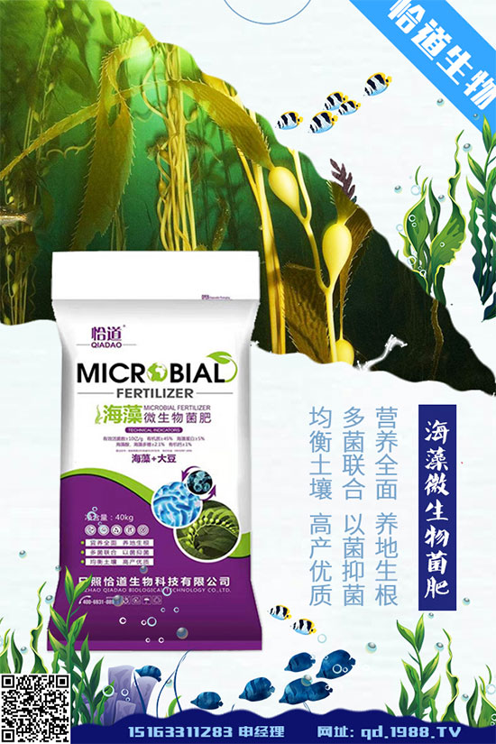 大豆空莢是什么原因造成的？大豆空莢預(yù)防措施！