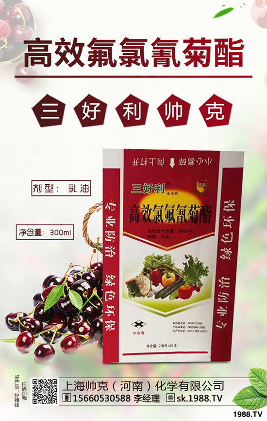 辣木樹的種植前景如何，如何種植辣木樹？