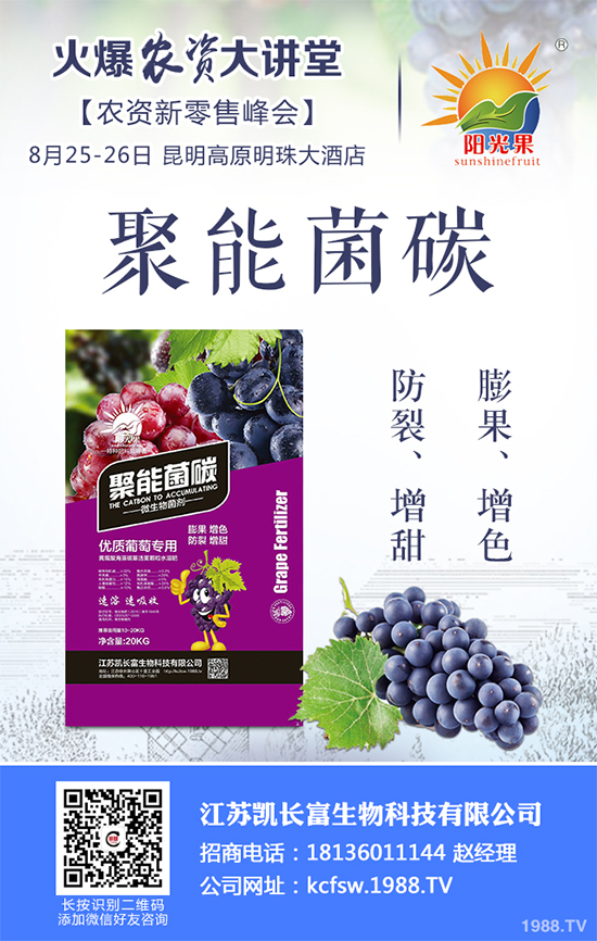 盆栽豌豆該怎么種？盆栽豌豆種植方法及注意事項(xiàng)