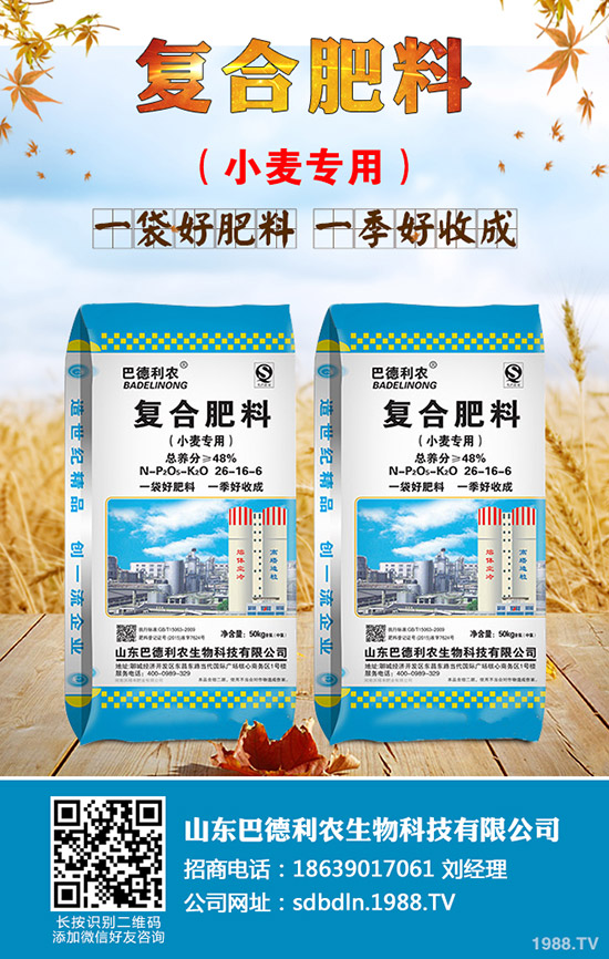 洋蔥什么時間種植？洋蔥育苗時間及管理方法技術！