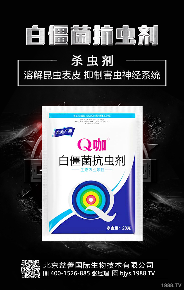 月季病蟲害怎么防治？月季病蟲害防治集錦
