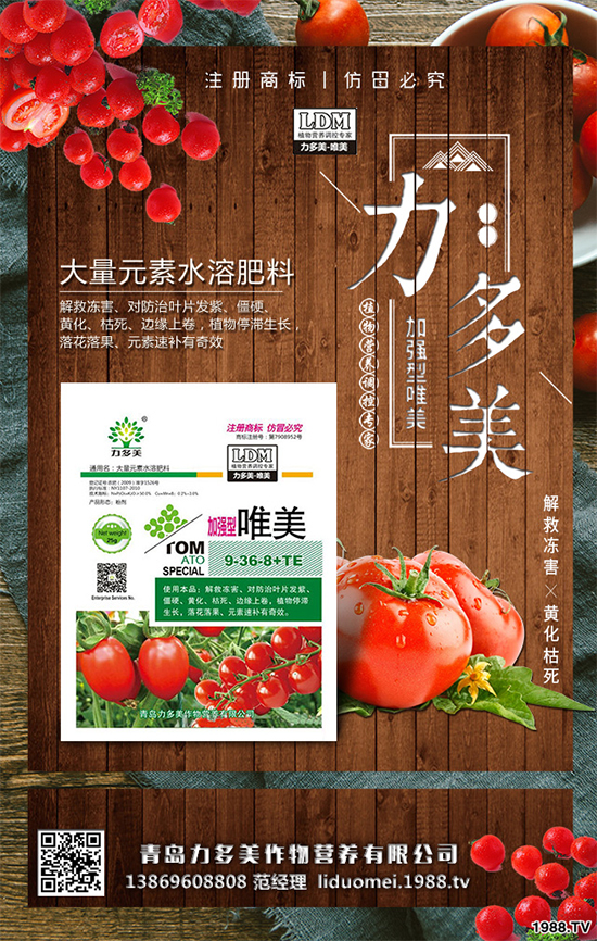 豌豆該怎么種？豌豆的播種方法及種植管理技術(shù)