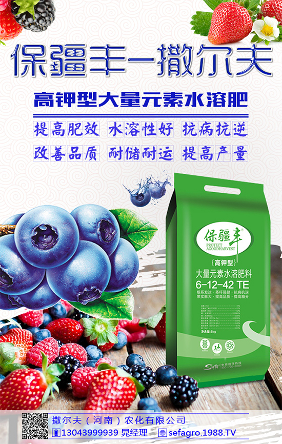 豌豆該怎么施肥？豌豆高產(chǎn)施肥技術(shù)