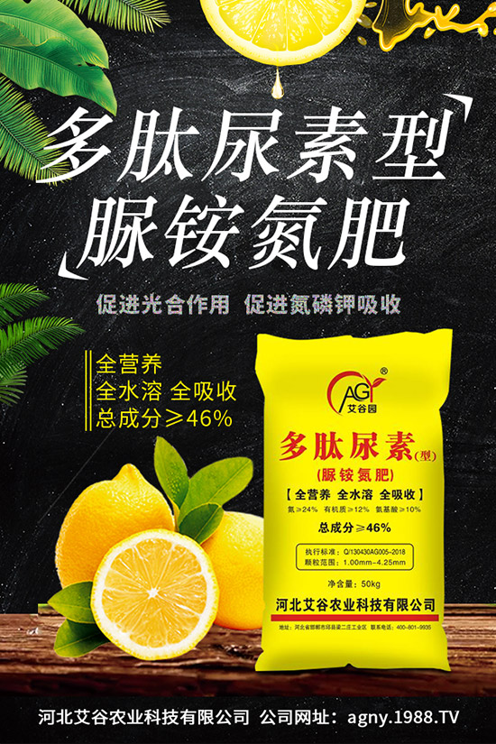 火龍果幾月份種植，火龍果的種植前景怎么樣？