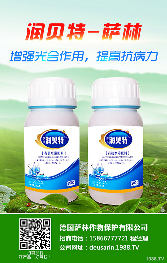 生姜的種植時(shí)間，生姜高產(chǎn)種植技術(shù)！