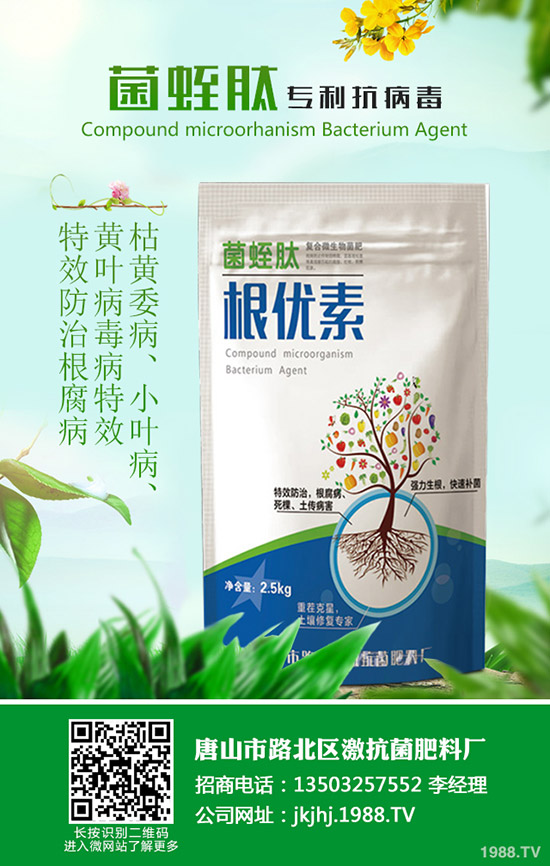 黑皮冬瓜什么時候種合適？黑皮冬瓜高產(chǎn)種植技巧！