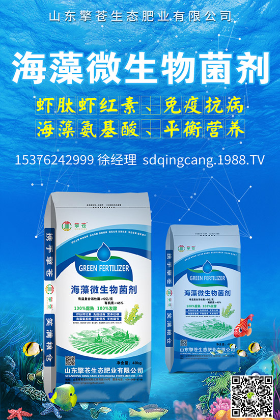 秋冬蘿卜怎么種植?秋冬蘿卜播種時間及田間管理方法!