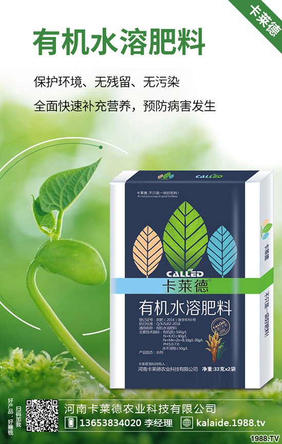 綠蘿長得太長怎么辦,綠蘿的修剪方法有哪些?