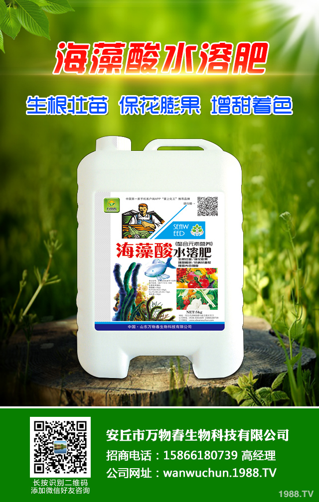 秋播小麥怎么提高質(zhì)量？秋播小麥提高質(zhì)量六要點