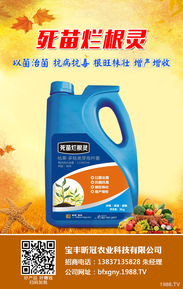 小麥死苗應(yīng)該如何防治？小麥死苗的原因