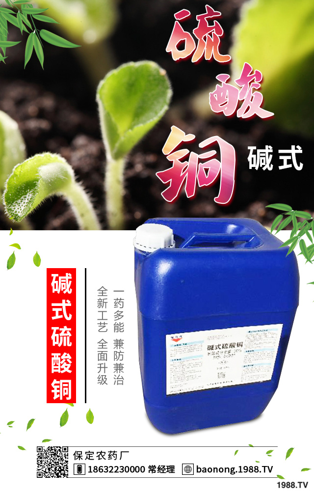 西葫蘆短粗病怎么辦?西葫蘆短粗病的成因和預(yù)防措施