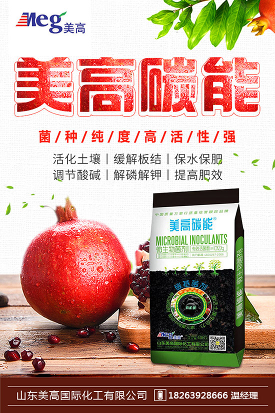     秋季家庭陽臺(tái)種植什么蔬菜好？秋冬陽臺(tái)種菜的方法！