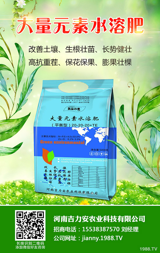 天麻什么時(shí)候種，天麻種植管理技巧