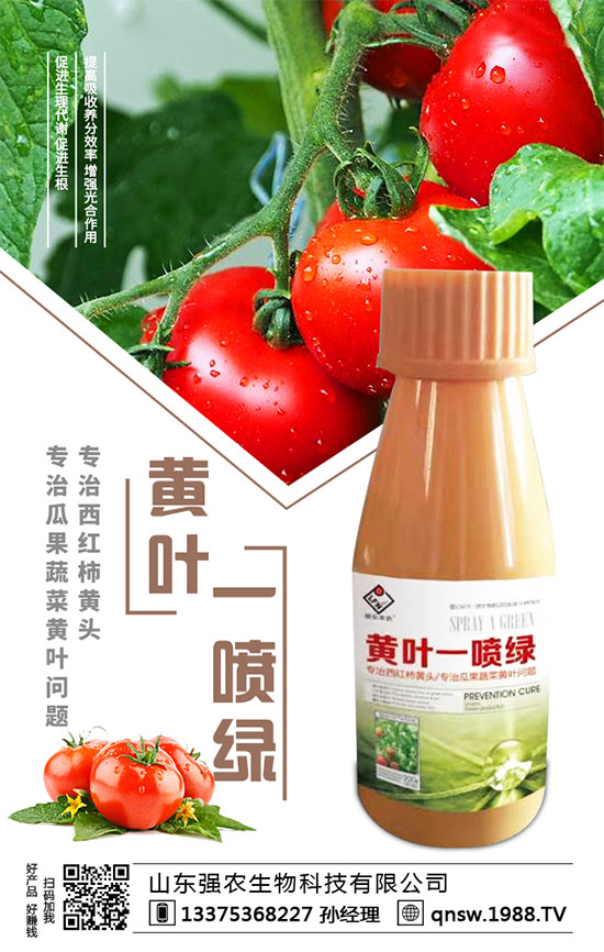 秋蘿卜播種時(shí)間，秋蘿卜種植需要注意哪些事項(xiàng)？