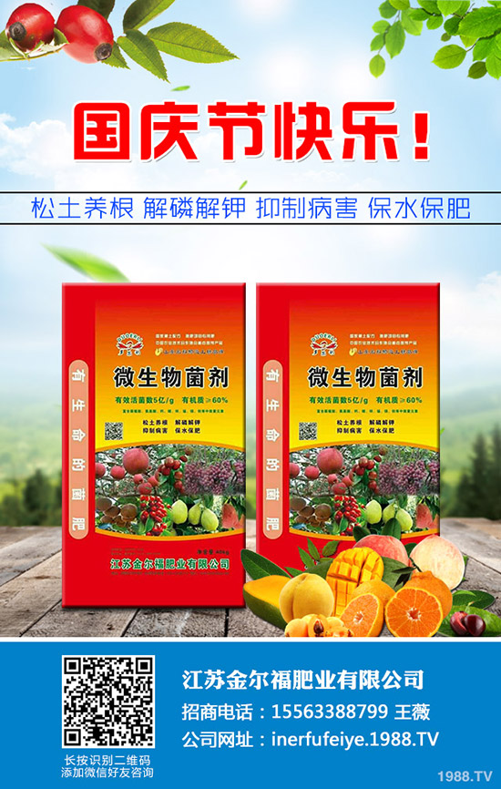     秋季香菜如何種植？香菜種植時(shí)間及種植技術(shù)、管理注意事項(xiàng)！