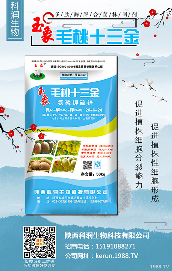     大蔥秋季什么時間種植合適？大蔥秋季種植時間及種植技術！