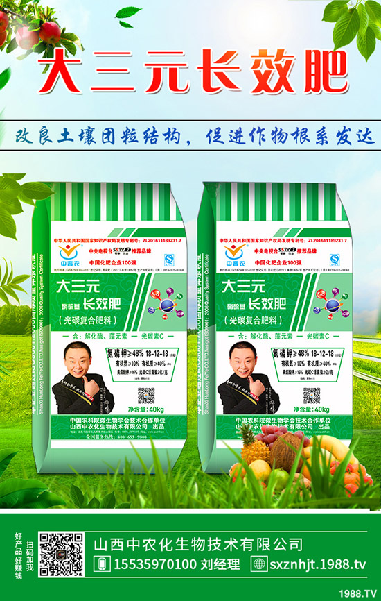     秋季大蔥如何管理？秋季大蔥種植管理方法及技術(shù)！