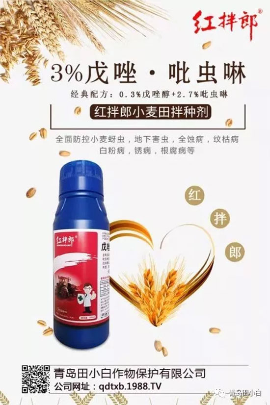 小麥拌種劑選哪個(gè)好？小麥拌種劑選用技巧