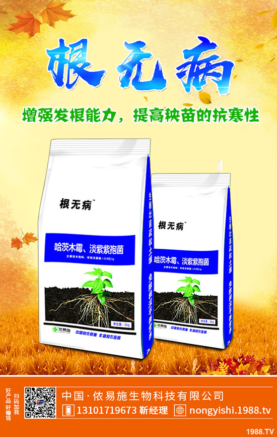     香菜、大蔥、香蔥種植賺錢嗎？常見調(diào)味型蔬菜種植利潤分析！