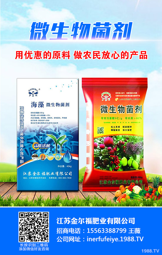     秋季蘿卜什么時候種植合適？秋季蘿卜種植時間及種植技術！