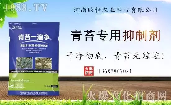 神奇除青苔劑！，不反彈！干凈，青苔無蹤！