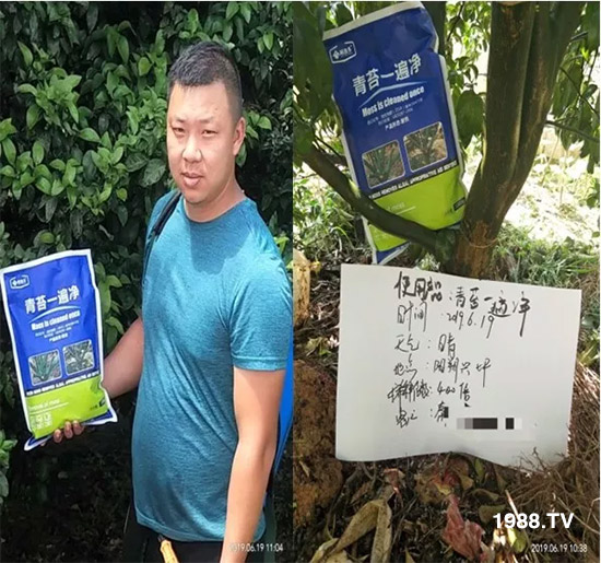 神奇除青苔劑！，不反彈！干凈，青苔無蹤！