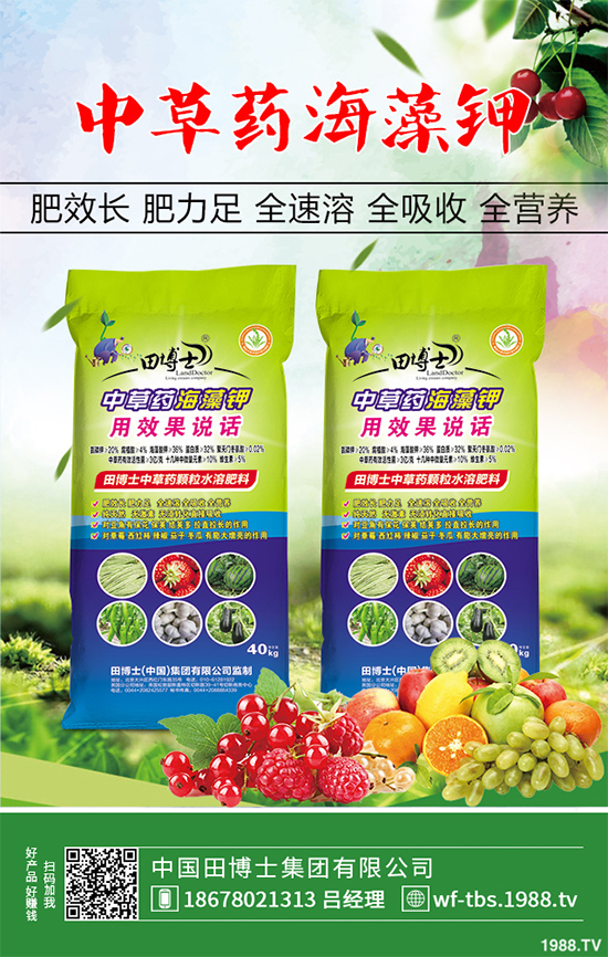 種植重樓能賺錢嗎？重樓種植前景及效益分析