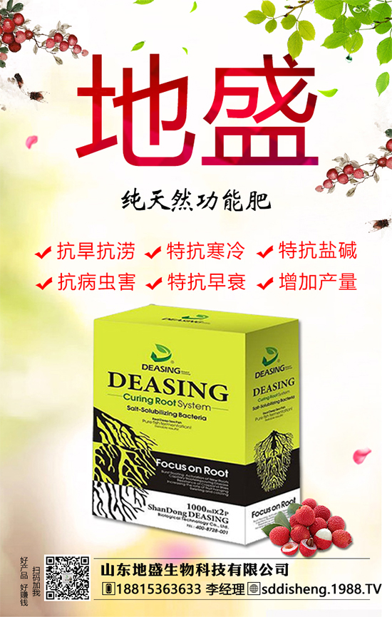 油茶樹的種植管理方法，油茶樹的經(jīng)濟(jì)價值如何？