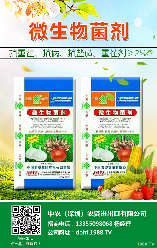 棉花怎么種植產量高？六大技巧讓你的棉花田輕松高產