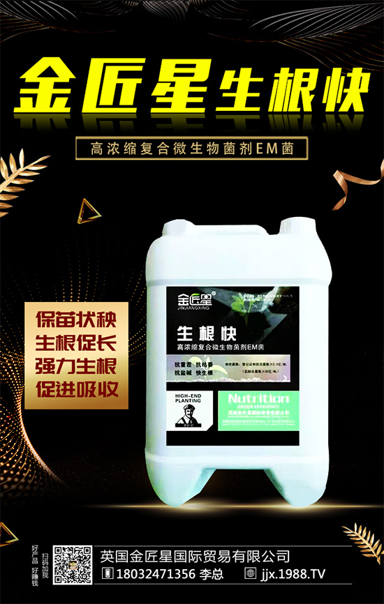 油茶樹的生長特性，油茶樹怎么種植？