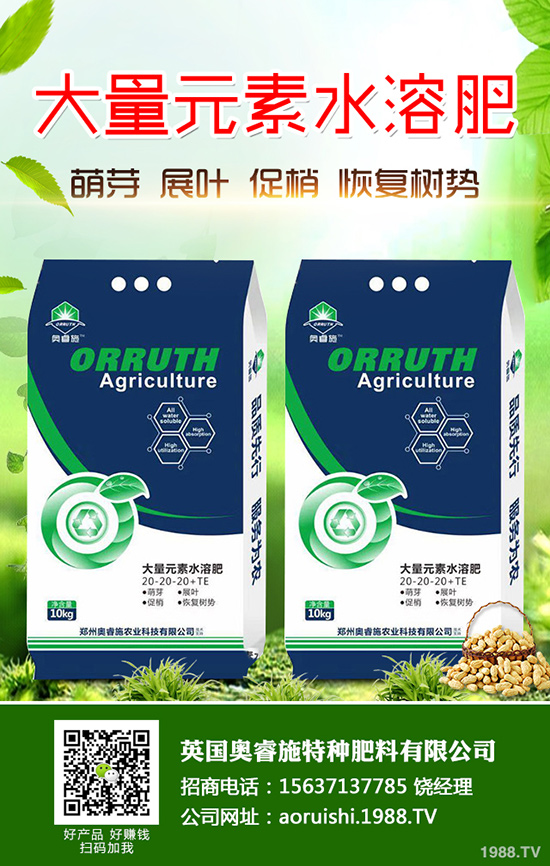 黑玉米如何種植？黑玉米的高產(chǎn)栽培技術(shù)
