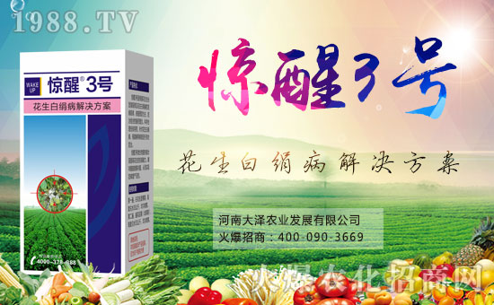 ������r(n��ng)�I(y��)��ף������µ�һ���������d¡��ؔԴ�L�L��