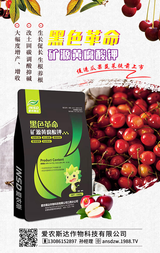 �����r(n��ng)˹�_��ף�r(n��ng)�Y�����т��|�м������������������ƽ�������ߟo�]��