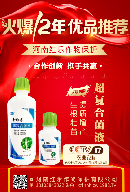 �����ϼt����ף������µ�һ��������󼪣��f��������